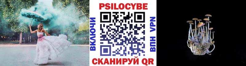 гидра онион  Рассказово  Галлюциногенные грибы GOLDEN TEACHER 
